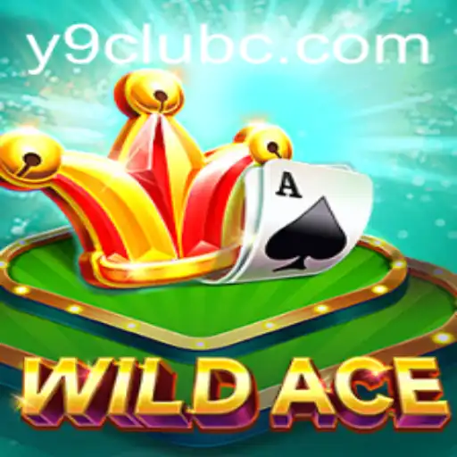 Exploring WildAce: The Game of Strategy and Skill